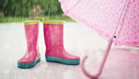 déšť rain-791893 1280